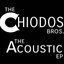 The Chiodos Bros