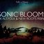 Sonic Blooms (UK Alt-Folk And New Roots Rising)