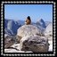 Marching Band/Tioga Pass