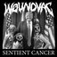 Sentient Cancer