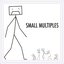 Small Multiples