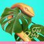 Too Long - Single