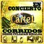 En Concierto-Corridos Desde Culiacán, Sinaloa