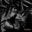 Leeches - Single
