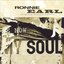 Ronnie Earl / Now My Soul