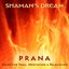 Prana: Music for Yoga, Meditation & Healing