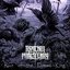 Rise of the Dread King