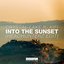 Into The Sunset (Headhunterz Edit)