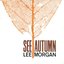 See Autumn