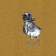 Fins & Feathers