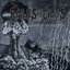 Torment Of Belligerence