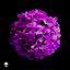 Purple Hydrangea - Single