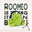 Avatar for roomeo2_0