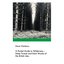 A Pocket Guide to Wilderness - Deep Forests and Dark Woods of the British Isles