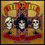 Appetite for Destruction (Gold Edition)