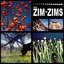 The Zim-Zims