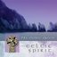 Celtic Spirit - Instrumental