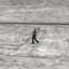 Angelus Novus - Single