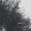 Short Songs For The Long Winter