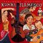 Putumayo Presents: Rumba Flamenco