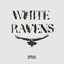 White Ravens