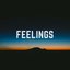 Feelings