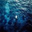 SURF - Single