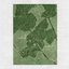 Wild Woods - Single