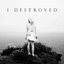 I Destroyed - Single