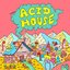 ACID HOUSE