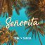 Senorita - Single