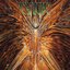 Focus (Expanded Edition)