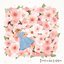 Spring illusion - Single
