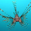Avatar di connorsweeney