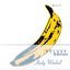 The Velvet Underground & Nico [Disc 2] [Mono]