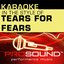 Karaoke - In the Style of Tears for Fears (Professional Performance Tracks)