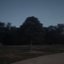 Nightlight - Single