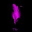 Nuit Blanche - Single