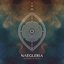 Naegleria