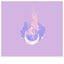The Garden - Single
