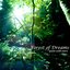 Forest of Dreams