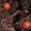 Sheol