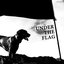 Under the flag