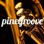 pinegroove