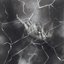 Shattered