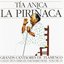 Grands Cantaores Du Flamenco - Volume 19