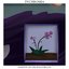 Window of the Space Below - Single