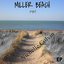 The Miller Beach Project