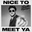 Nice To Meet Ya - Single