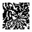 The Price / Mimicry